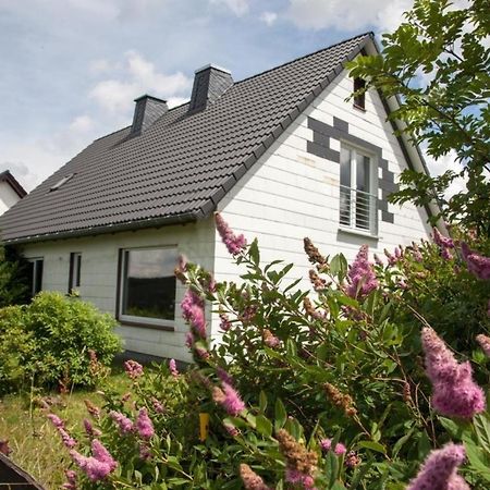 Ferienhaus Grenzweg Winterberg Dış mekan fotoğraf