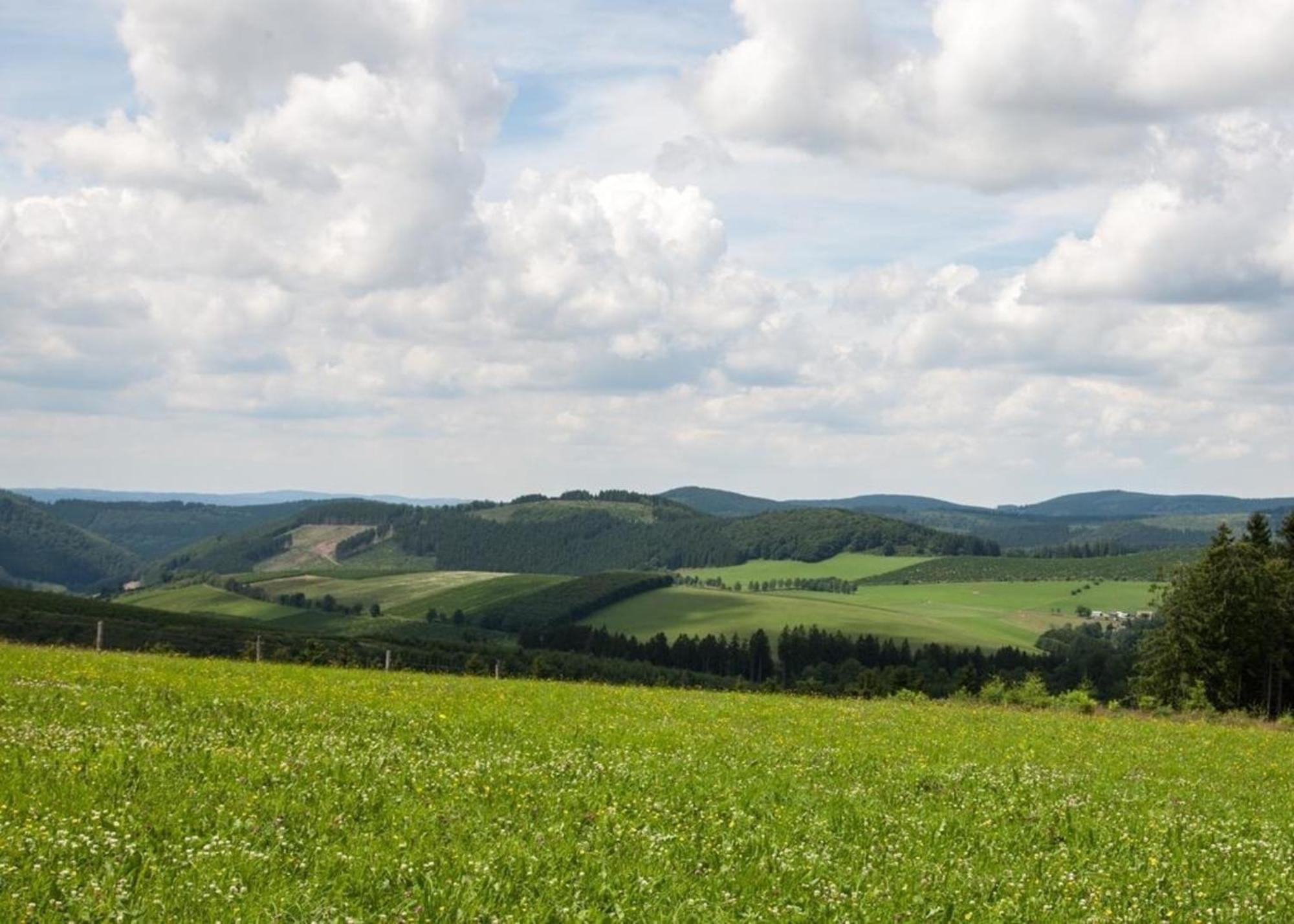 Ferienhaus Grenzweg Winterberg Dış mekan fotoğraf